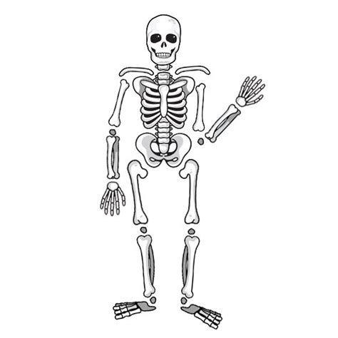 Build-a-skeleton Halloween Wall Decals Peel and Stick Removable ...