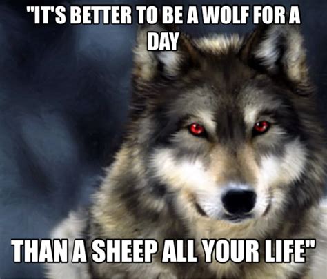 Quotes About Wolves. QuotesGram