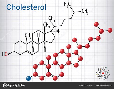 Molécula Colesterol Fórmula Química Estrutural Modelo Molécula Folha ...