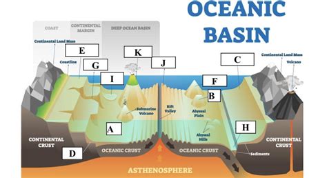 Ocean Basin Features Diagram | Quizlet