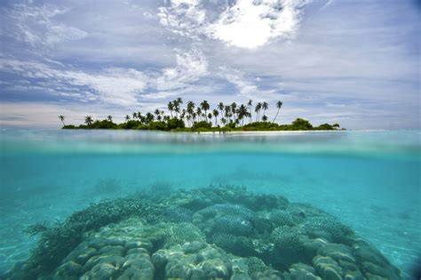 Fürdőkád Nyomorult Társalgó best maldives islands to visit mód vizuális ...