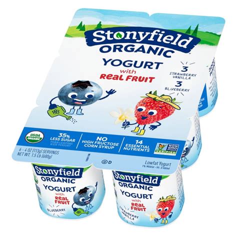 Bristol Farms Stonyfield Organic Kids Blueberry & Strawberry Vanilla ...