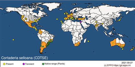 Range of Pampas Grass around the world : r/MapPorn