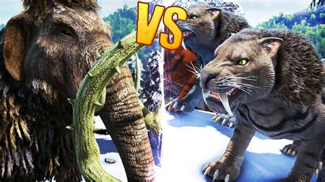 Saber Tooth Tiger Vs T Rex