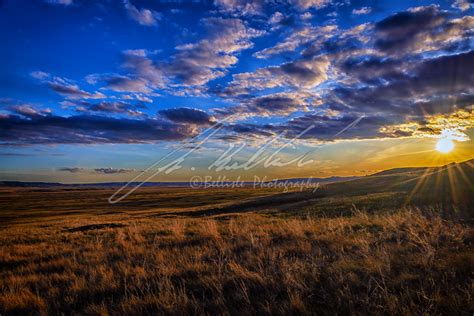 Grasslands National Park - May 2019 - Apollo Bellisle