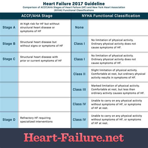 Exploring the Progression of Heart Failure Stages