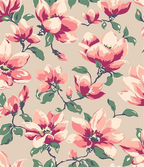 Magnificent magnolia blooms drawn with a streamlined style and colour ...