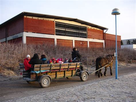 On the way to Rinkeby | children on an outing in Rinkeby | Flickr