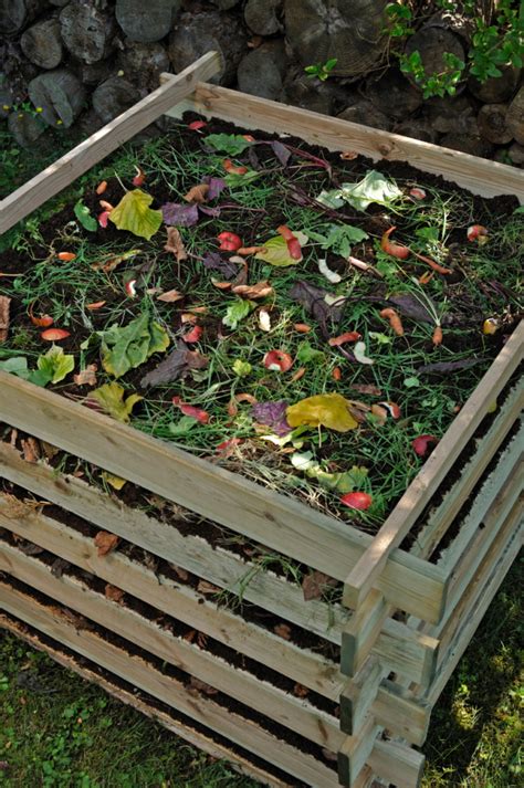 Composting with Chickens: How your flock can help dispose of waste and ...