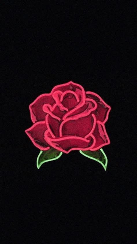 Black Rose Aesthetic on Dog, black and red profile HD phone wallpaper ...