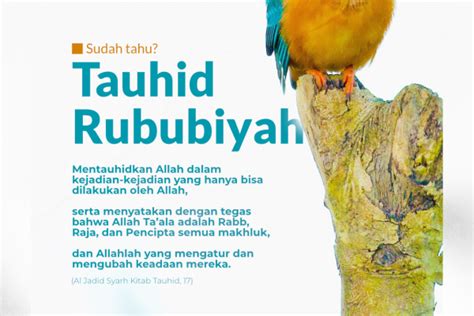 Tauhid Rububiyah Dan Tauhid Uluhiyah Setitik Cahaya Di Rimba Raya Dunia ...