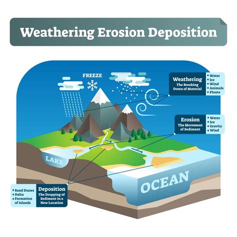 Physical Weathering Erosion And Water Lab