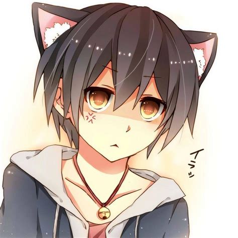 Anime Catboy Wallpapers - Top Free Anime Catboy Backgrounds ...