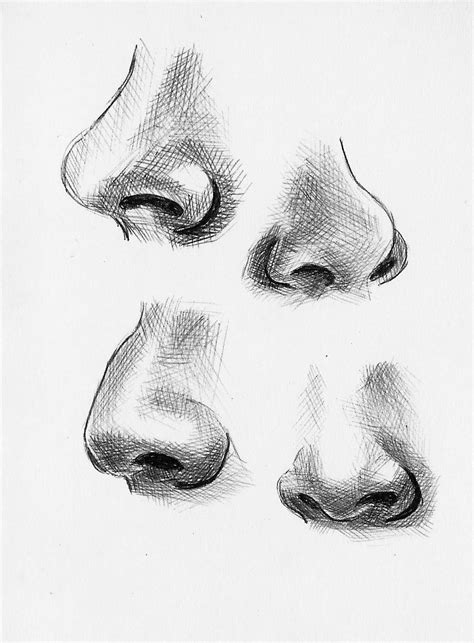 : Photo | Nose drawing, Sketches, Sketch nose