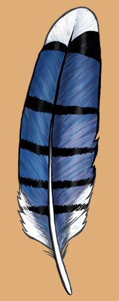 BlueJay Feather by cambium on deviantART | Blue jay feather, Blue jay ...