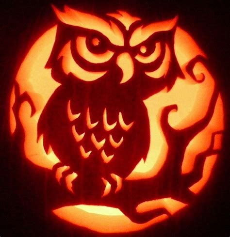 Owl Pumpkin Carving Stencils