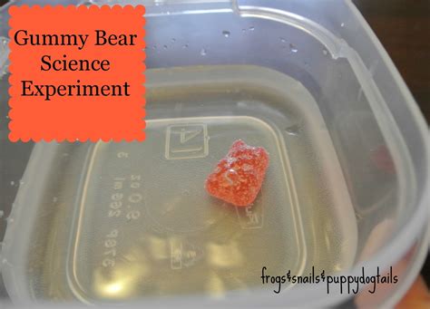 Gummy Bear Science Experiment - FSPDT