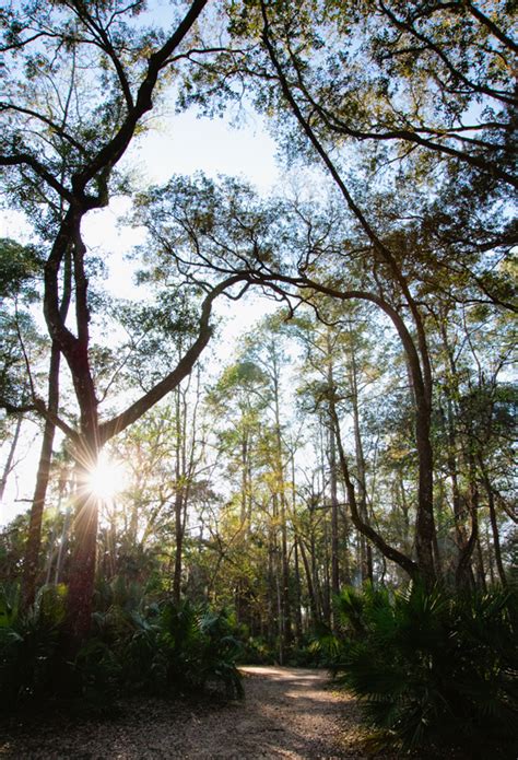 Camping at Juniper Springs in Ocala National Forest, Florida | Hidden ...