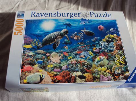 How to Build a 5000-Piece Ravensburger Jigsaw Puzzle - HobbyLark