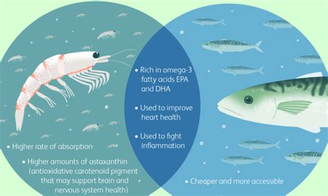 Krill oil vs fish oil Health Krill oil vs fish oil Krill oil vs fish oil