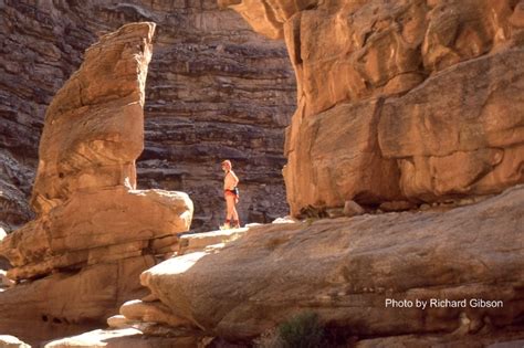 History of the Earth: February 16. Cambrian rocks of the Grand Canyon