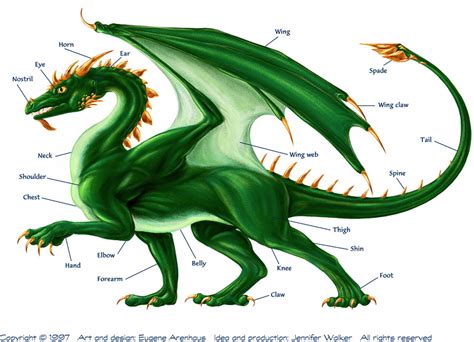 The Dragons of Romania | 22MOON.COM