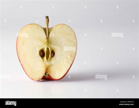 Apple cross-section Stock Photo - Alamy