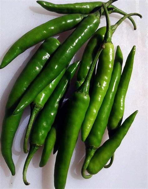 Long Green Chili Peppers | Island Fresh