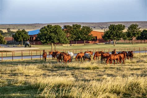 O lendário 6666 Ranch está à venda - Cavalus