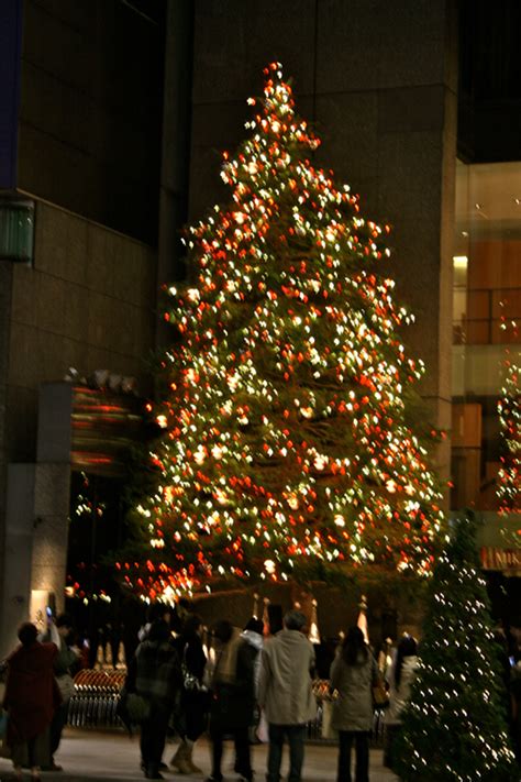 Merry Christmas from the Japan Guy - The Japan Guy