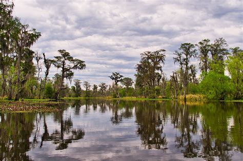 louisiana-swamp-tour