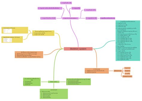 Skeleton system - Coggle Diagram