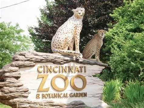 The Top 10 Big Cat Zoos in the U.S.A. - WanderWisdom