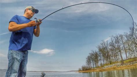 Fishing Rods Explained - Action, Power and More - Wired2Fish