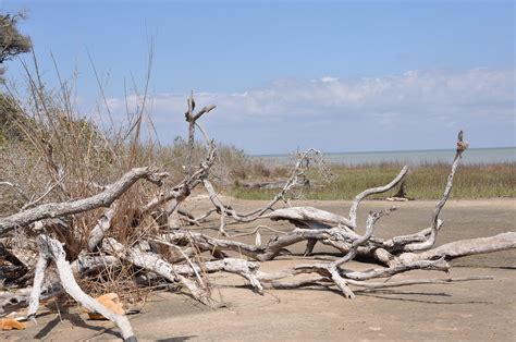 Aransas Pass Wildlife Refuge | Richard Moore | Flickr