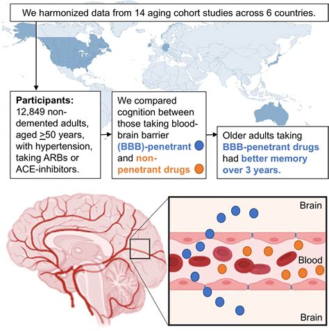 Blood-Brain Barrier Crossing Renin-Angiotensin Drugs and Cognition in ...