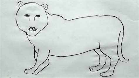 how to draw lioness easy step by step drawing tutorial|how to draw ...