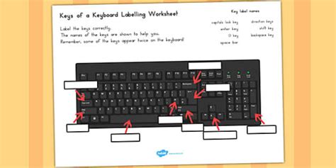 41 label parts of keyboard