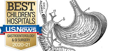 Pediatric Gastroenterology | Pediatrics | Michigan Medicine ...