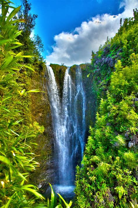 Secret Waterfall | Beautiful waterfalls, Waterfall, Maui travel