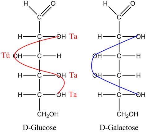 Difference Between Glucose and Galactose | Definition, Molecular ...