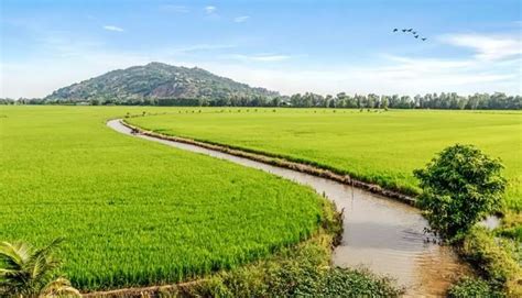 Optimalisasi Saluran Irigasi, Solusi Cerdas Cegah Banjir Desa Loa Duri Ulu