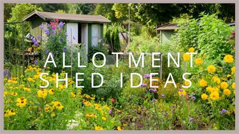 Allotment Shed Ideas: Things to Consider