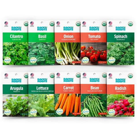 Back to the Roots Organic Beginner's Vegetable Garden Seeds Variety (10 ...