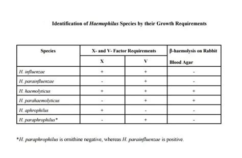 X and V factor test for Haemophilus: Principle, Procedure and Results ...