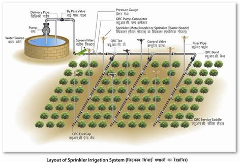 Sprinkler Irrigation System - Irrigation Experts