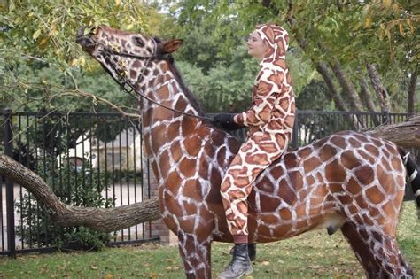 5 Animal Costume Ideas For Your Horse (Plus Our Contest!), Pres. by ...