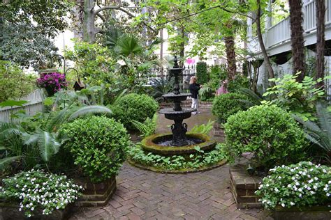 Savannah Botanical Gardens: Everything You Need To Know