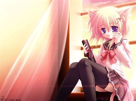 Neko Anime Girl Hd Wallpapers - Wallpaper Cave