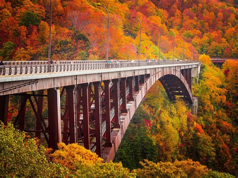 Autumn Arch | Autumn in japan, Japan, Aomori